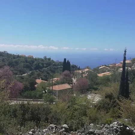 Lefki's House Drymon