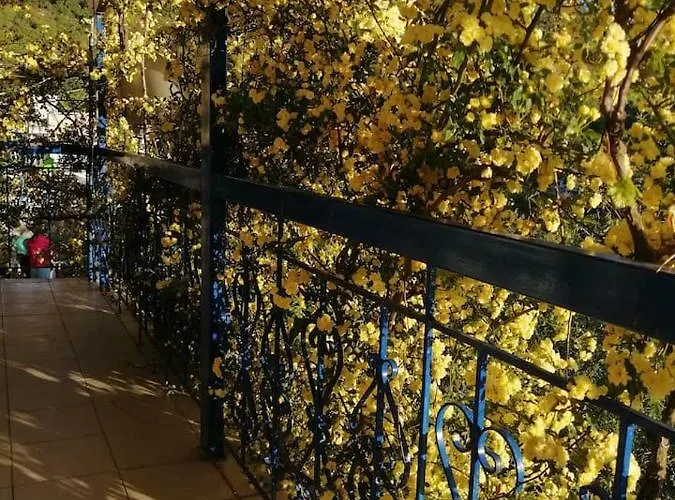 Lefki's House Drymon