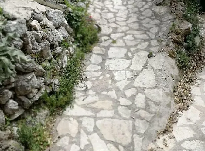 Lefki's House * Drymon